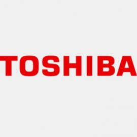 TOSHIBA Display Panel (0)