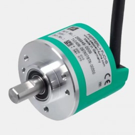 P+F Encoder (0)